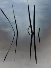 Kirsten Gifkins